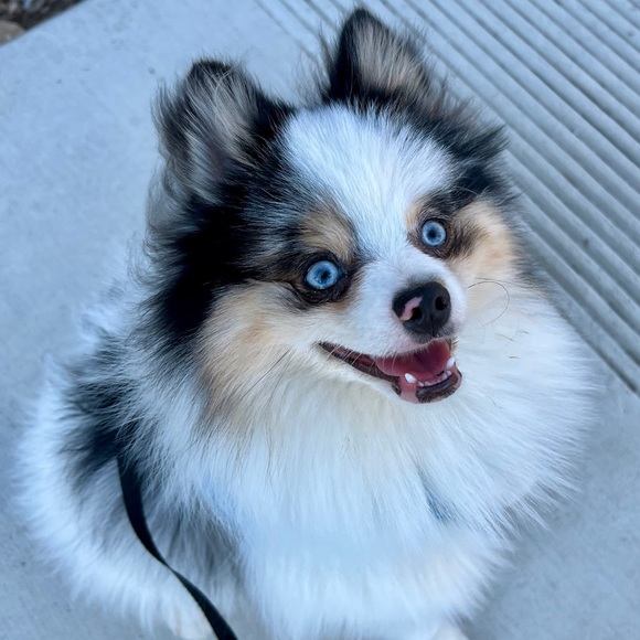 Meet your Posher, Michelle - Picture 2 of 13